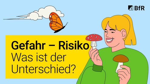 Illustration einer Frau, die in einer Hand einen Fliegenpilz hält und in der anderen Hand einen Steinpilz. Unten links ist eine gelbe Textbox mit dem Videotitel.