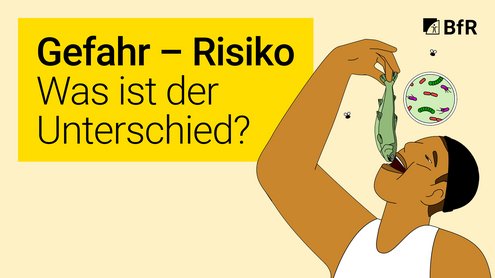 Illustration eines Mannes, der sich einen verdorbenen Fisch vor den offenen Mund hält. In einem Kreis neben dem Fisch sind Krankheitserreger dargestellt. Oben links im Bild ist eine gelbe Box mit dem Videotitel.